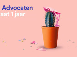 TEN Advocaten 1 jaar